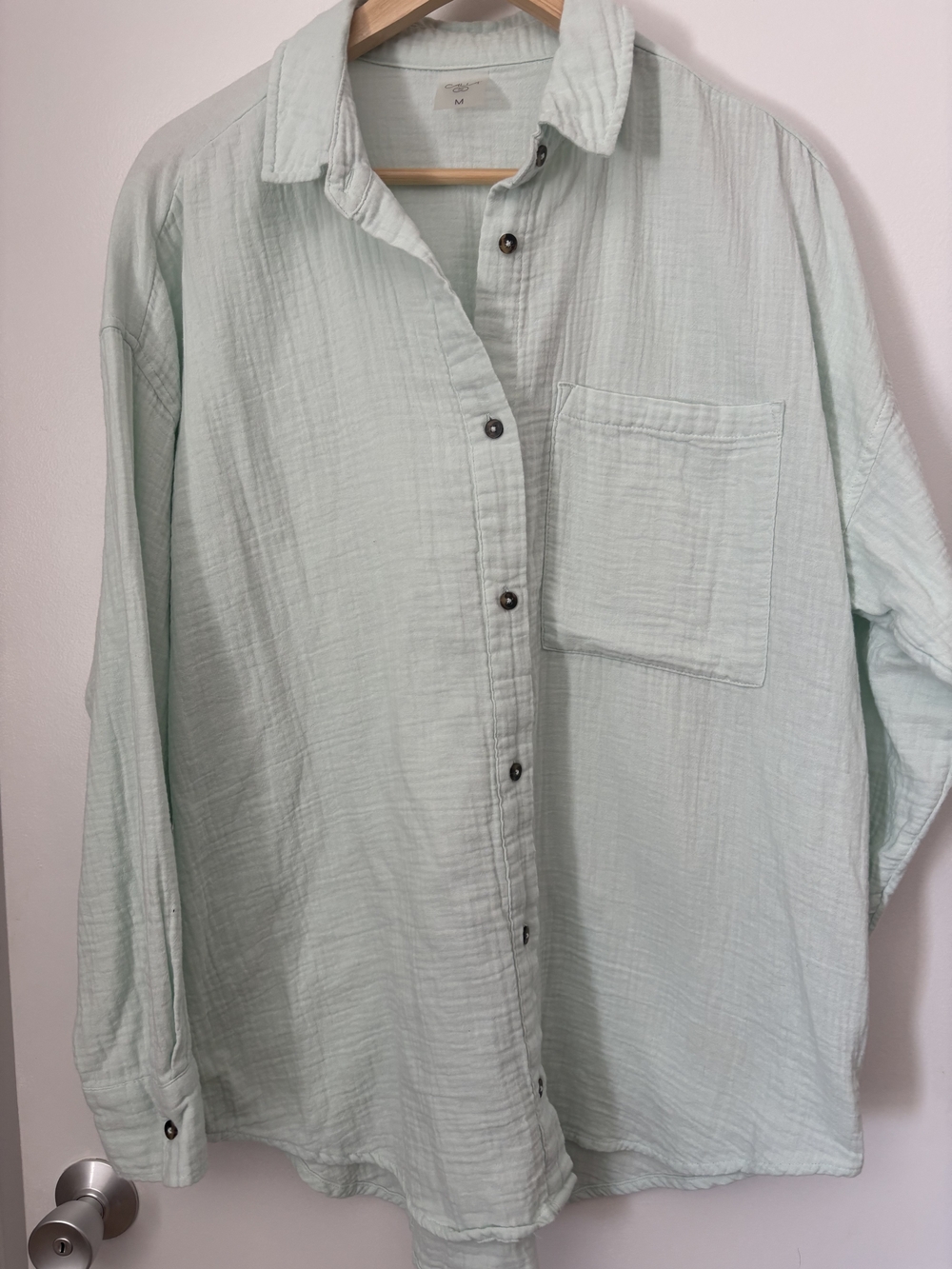 Button-Down Shirt in Pale Mint